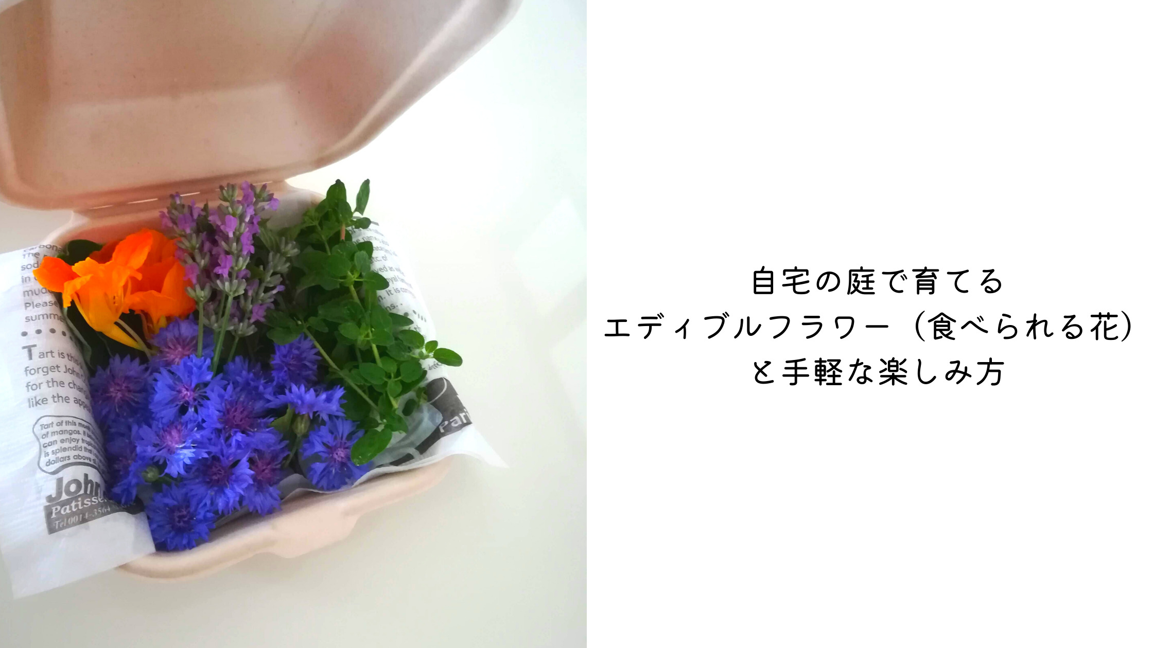 自宅の庭で育てるエディブルフラワー（食べられる花）と手軽な楽しみ方 - 白い平屋の家を建てました